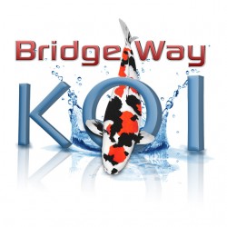 New for 2014 Bridge Way Koi